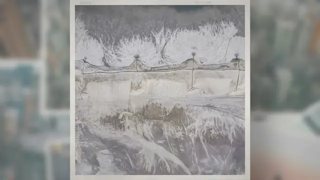 Video thumbnail for Vegetation In the Tundra Unveiling the Secrets of Tundra Vegetation