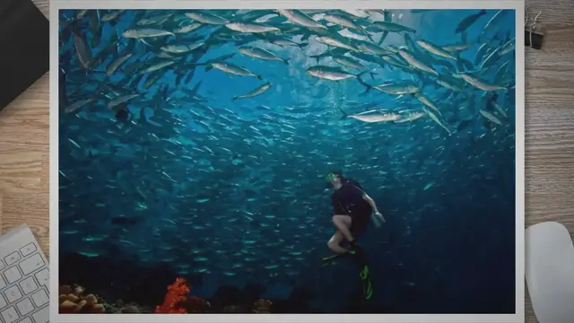 Video thumbnail for The Ultimate Guide to Diving at Barracuda Point