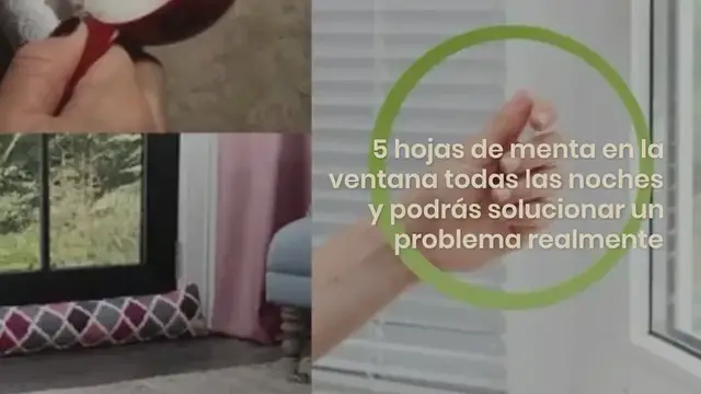Video thumbnail for Deje 5 hojas de menta en la ventana antes de acostarse: he aquí por qué
