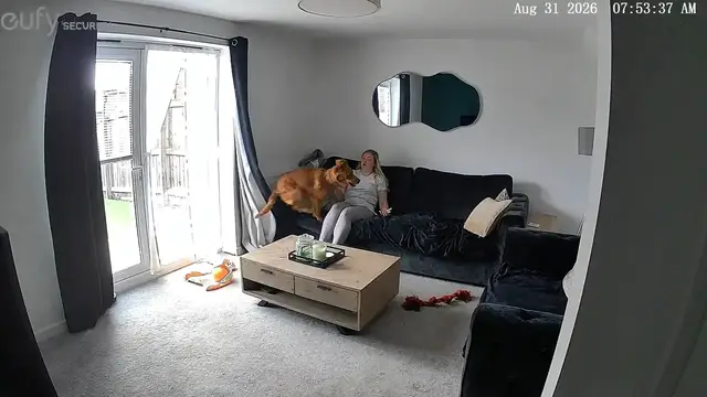Video thumbnail for Dog Russell Zooms Around Living Room in Seaham