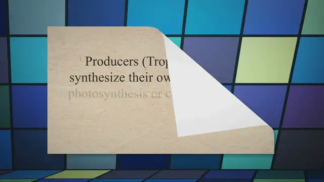 Video thumbnail for 5 Trophic Levels in a Food Web and Their Compositions Discussed - Felsics.com