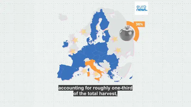 'Video thumbnail for Which EU countries are fresh produce powerhouses? '