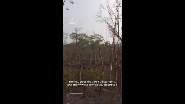 Video thumbnail for How a strategic hill decided the Thai-Cambodia ceasefire