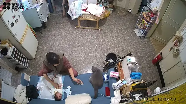 Video thumbnail for Cat Brings Brooch to Grandmother While Baby Cries