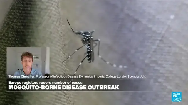 'Video thumbnail for Mosquito-borne diseases: 'As world warms, parasites, diseases and viruses become more transmissible''
