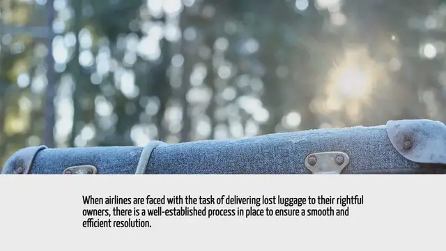 Video thumbnail for How Do Airlines Deliver Lost Luggage