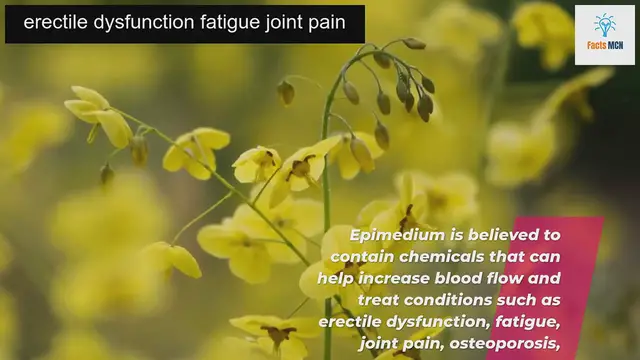 Video thumbnail for Boost Your Manly Health with these Top Foods for Mens Reproductive System