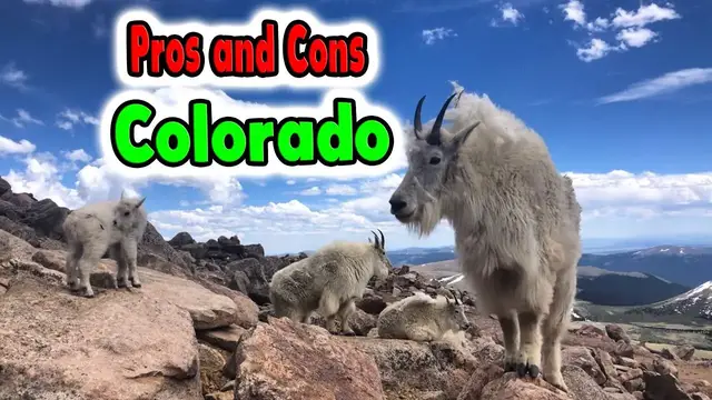 Video thumbnail for What Does and Doesn't Suck About Living in Colorado.