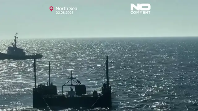 Video thumbnail for Humpback whale stranded in Germany released into North Sea