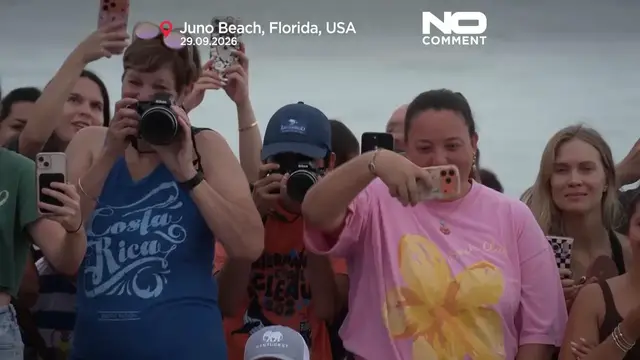Video thumbnail for Rehabilitated green sea turtle Jurassic returns to Atlantic