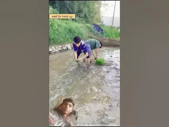 Video thumbnail for धान की रसोई #funny #comedy #woodworking #eatingchallenge #shortfeed #ytshorts #youtubeshorts