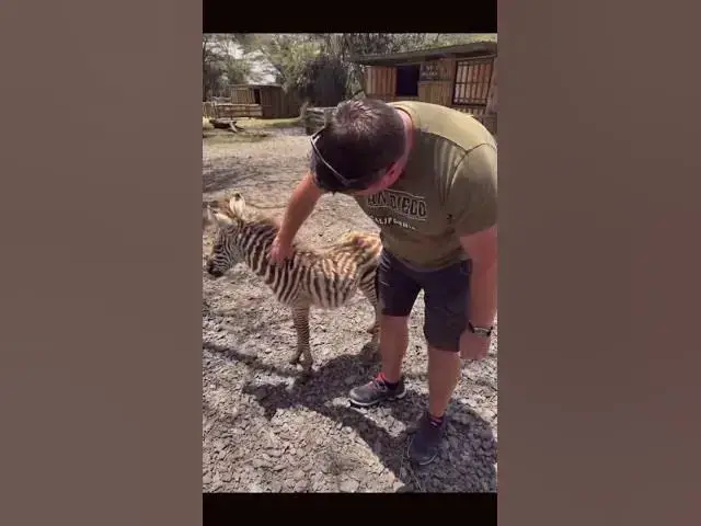 Video thumbnail for Kenya Rhino Orphanage 2025