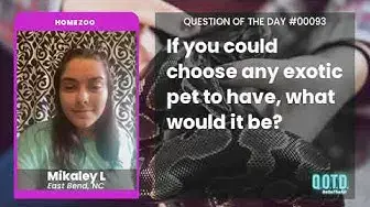 Video thumbnail for Mikaley wants a pet monkey. Same here!