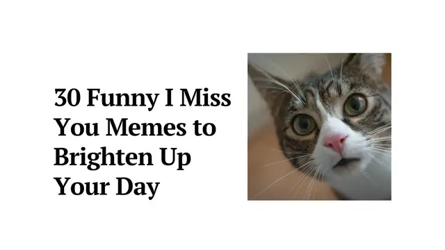 Video thumbnail for 30 Funny I Miss You Memes | Funny Memes