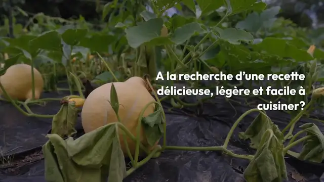 Video thumbnail for Butternut farcie à la viande hachée