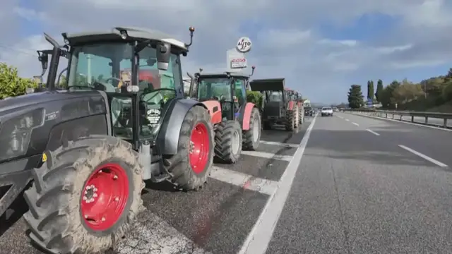 Video thumbnail for Italy's trucker protests halt buffalo mozzarella production, cost producers €3m