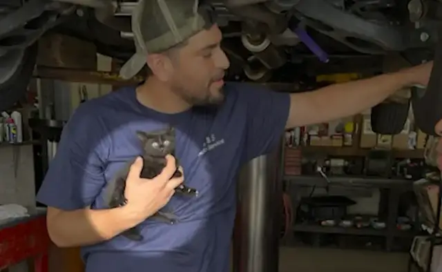 Video thumbnail for Tiny kitten saved after being found trapped under vehicle in White Plains