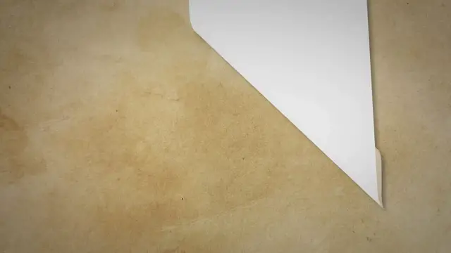 Video thumbnail for Unveiling the Hidden World: Exploring the Vital Abiotic Factors of Estuaries