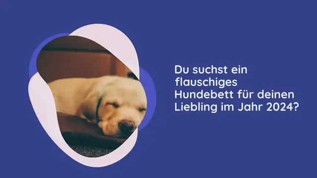 Video thumbnail for Die 5 besten flauschigen Hundebetten aus 2024 im Test