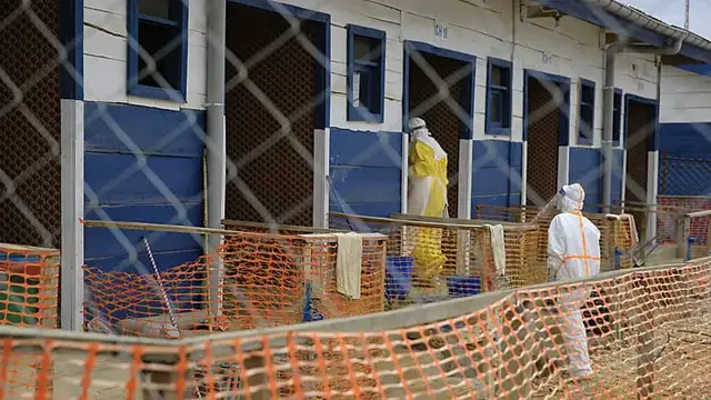 Video thumbnail for WHO raises alarm over undetected Ebola cases in DR Congo