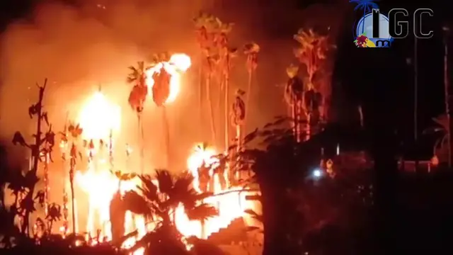 'Video thumbnail for Palmenhain in Tauro abgebrannt'