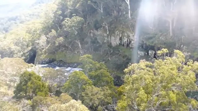 Video thumbnail for Jungle Waterfall