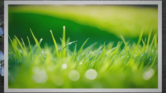 Video thumbnail for Choosing Affordable Grass Cutting Services: A Helpful Guide