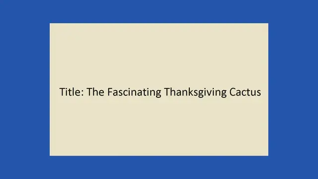'Video thumbnail for Thanksgiving Cactus'