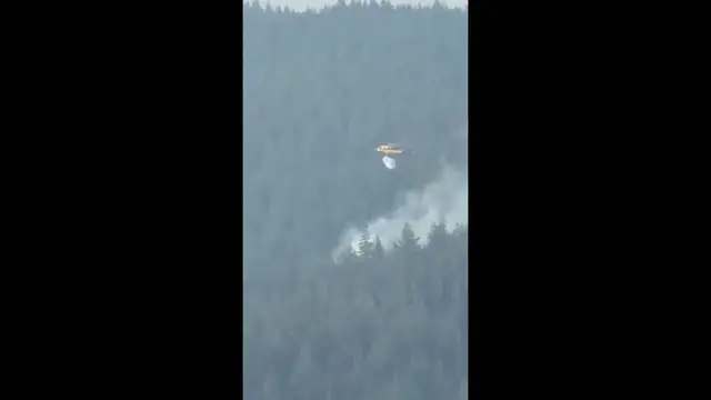 Video thumbnail for Canada Wildfires: Fire In Metro Vancouver's Belcarra Regional Park.