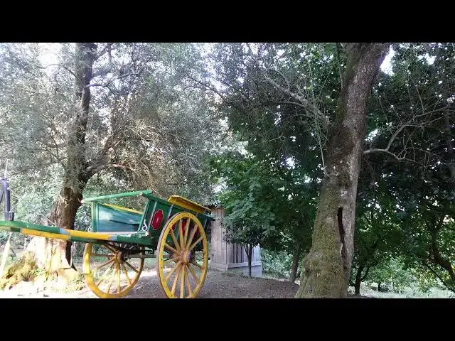 Video thumbnail for Meadow with Ambient Nature