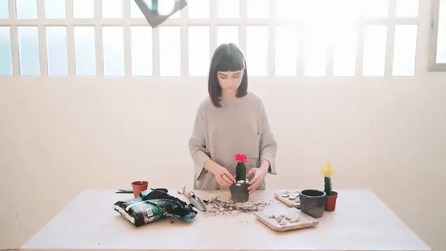 Video thumbnail for Preventing Root Rot in Cacti