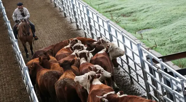 Video thumbnail for Argentina’s booming beef exports spark domestic price worries