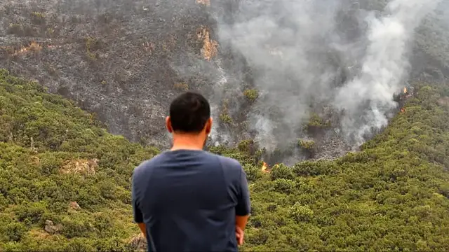 Video thumbnail for Algeria moves to restore death penalty for deliberate forest fires