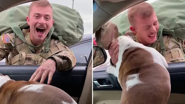 Video thumbnail for Soldier And Dog Can't Contain Excitement When They're Reunited