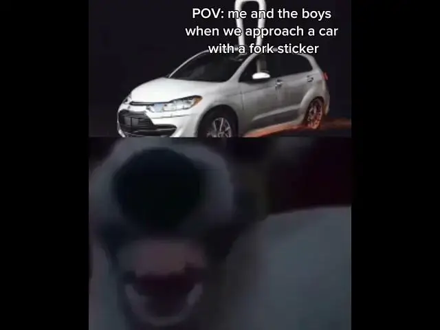 Video thumbnail for late memeposting