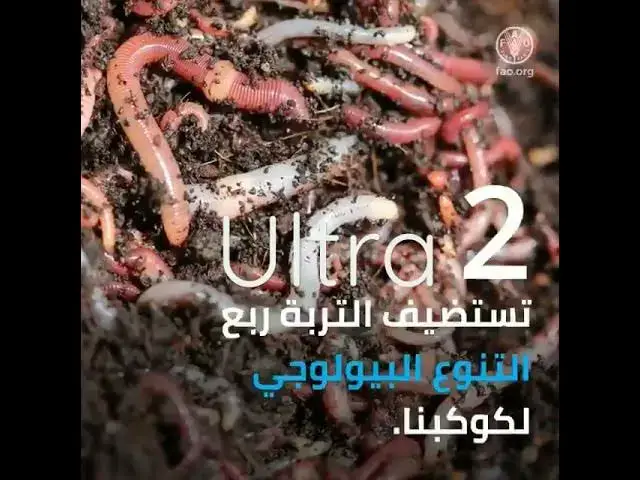 Video thumbnail for 21 February 2023