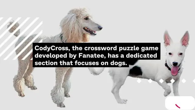 Video thumbnail for CodyCross Dogs Answer