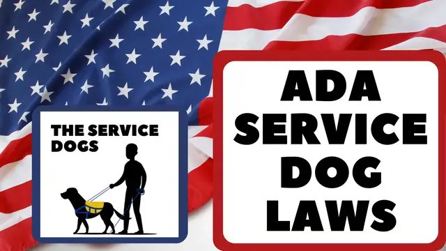 'Video thumbnail for ADA Federal Service Dog Laws '