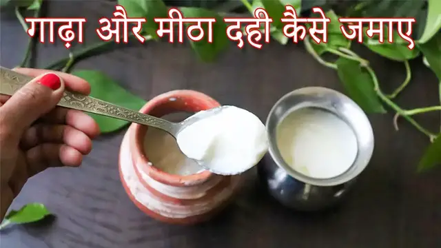 Video thumbnail for गाढ़ा और मीठा दही कैसे जमाए | Dahi Kaise Jamaye| Dahi Jamane ka Tarika