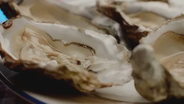 Video thumbnail for Exploring the Seafood Wonders of the Pacific Northwest