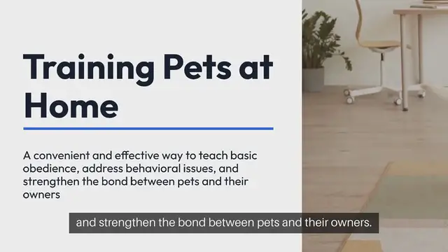 Video thumbnail for Training Pets At Home