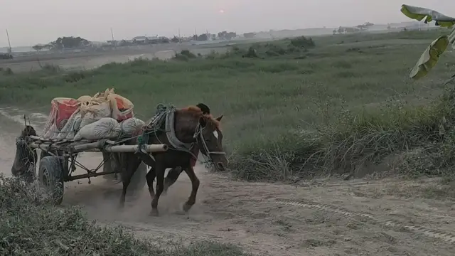 'Video thumbnail for Real Horse Power'
