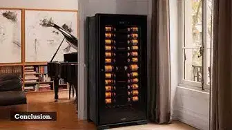 Video thumbnail for Wine Cooler, 6 Important Things You Need To Know!
