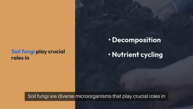 Video thumbnail for Understanding Soil Fungus and How to Manage