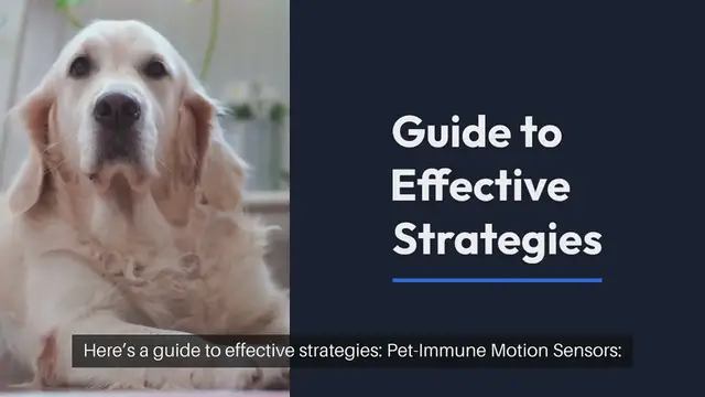 Video thumbnail for Pet Safe Security Measures