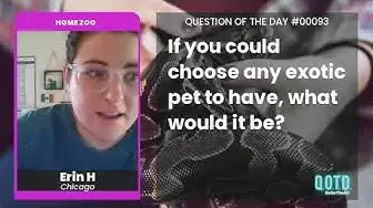 Video thumbnail for Erin thinks a pet sloth would be easy to keep track of. Practical!