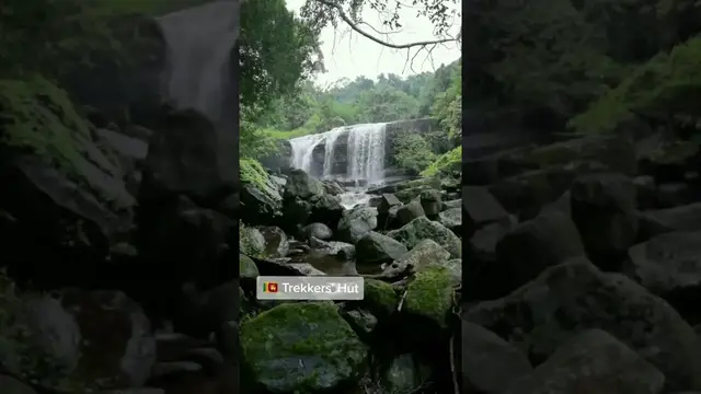 'Video thumbnail for Hidden paradise inside the jungle #shorts'