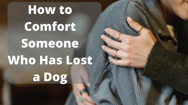 Video thumbnail for How to Comfort Someone Who Has Lost a Dog