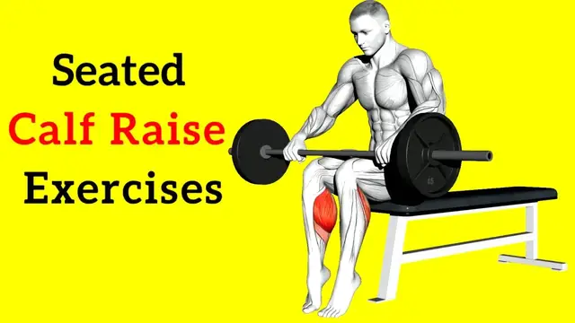 Video thumbnail for The 5 Best Seated Calf Raise Exercises to Tone Your Legs (Get the Perfect Calves)
