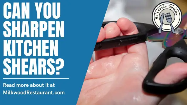 Video thumbnail for Can You Sharpen Kitchen Shears? 5 Superb Steps To Do It!